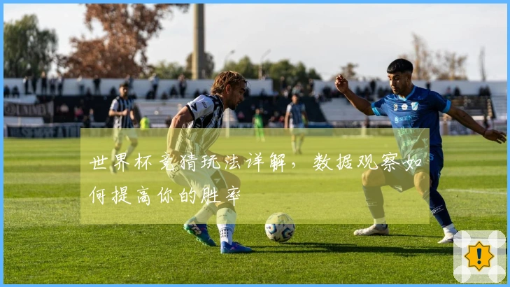 世界杯竞猜玩法详解，数据观察如何提高你的胜率