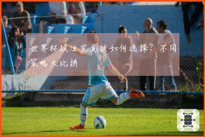 世界杯投注究竟该如何选择？不同策略大比拼