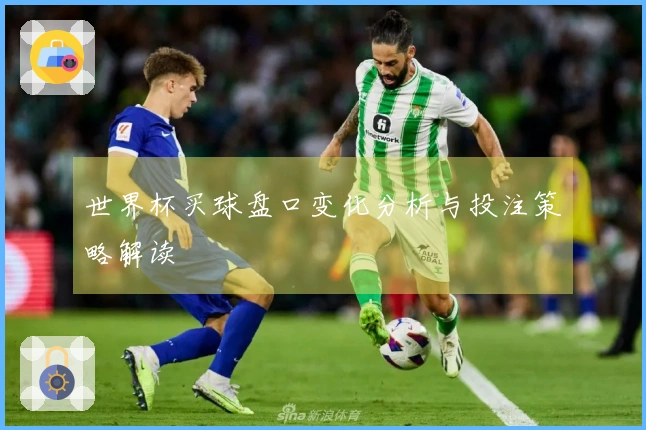 世界杯买球盘口变化分析与投注策略解读
