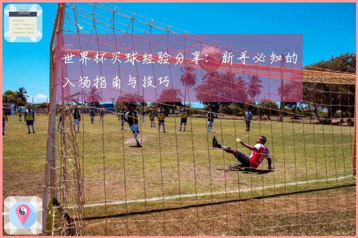 世界杯买球经验分享：新手必知的入场指南与技巧